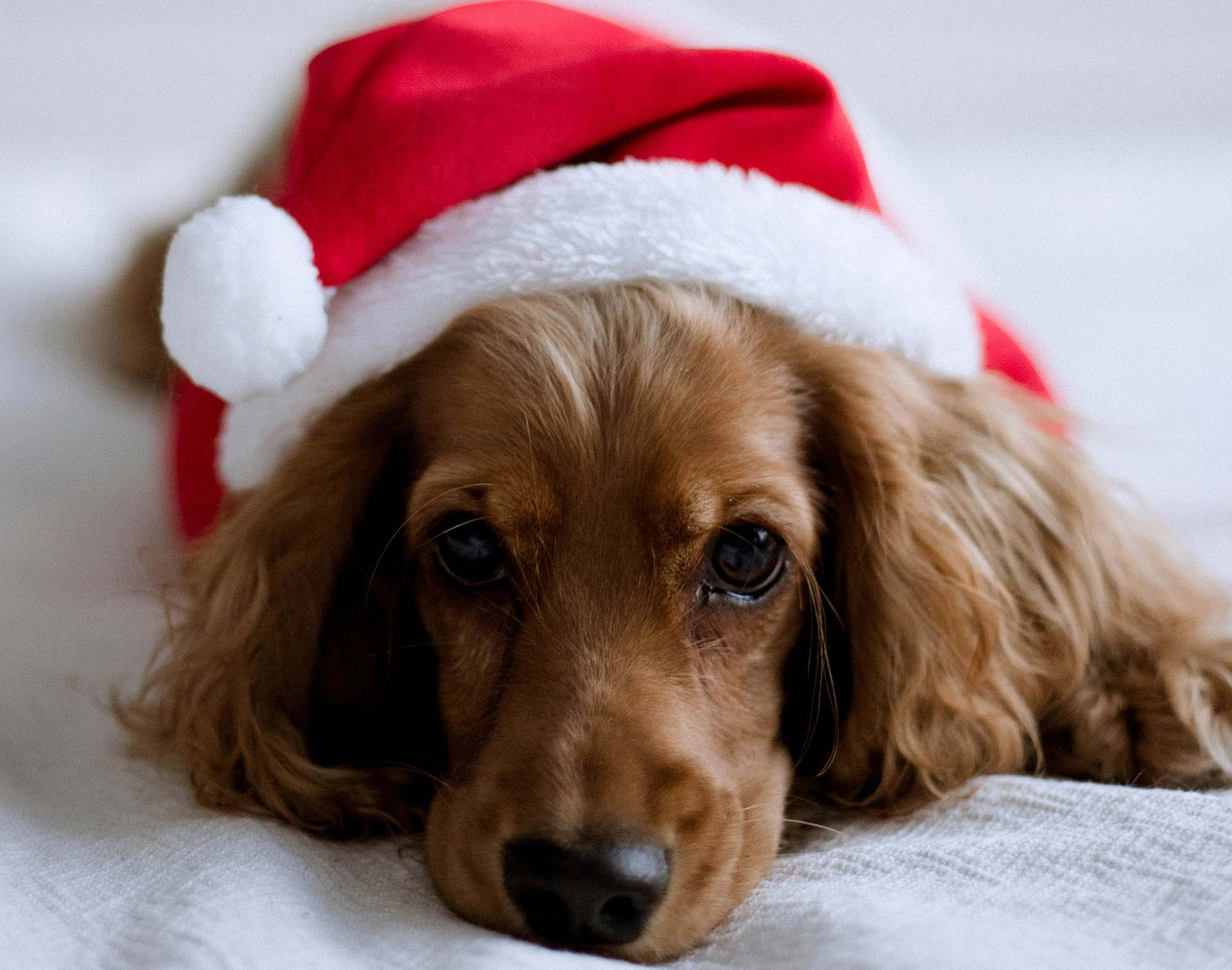 Vánoční atmosféra rodiny